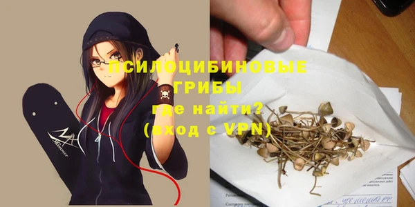 ешки Михайлов