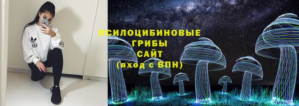 мяу мяу мука Михайловск