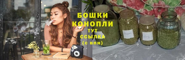 ешки Михайлов