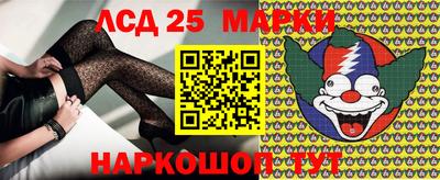 apvp Заволжье