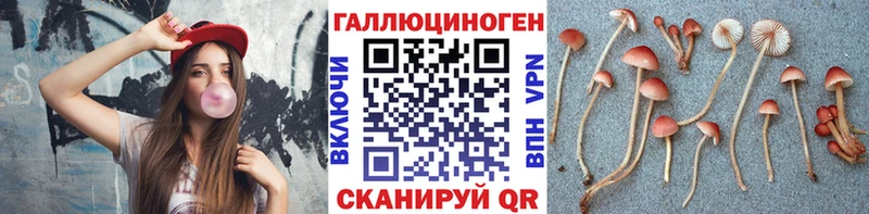 Галлюциногенные грибы Magic Shrooms мега tor Таганрог