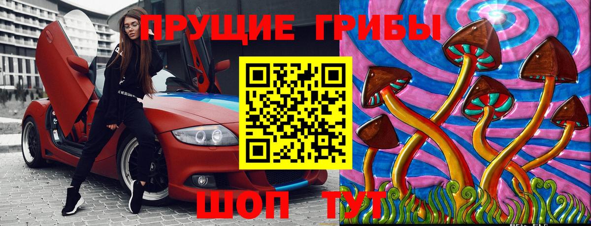 Таганрог  Псилоцибиновые грибы ЛСД  Псилоцибиновые грибы ЛСД  Вход с VPN 