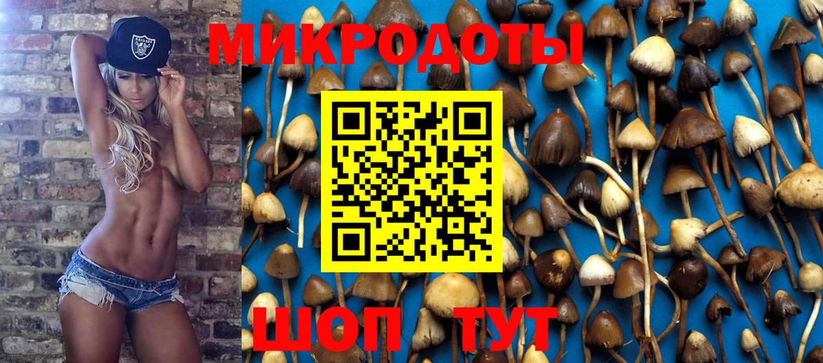 Галлюциногенные грибы ЛСД Таганрог
