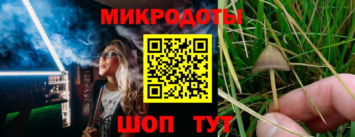 Галлюциногенные грибы мицелий  Таганрог  Галлюциногенные грибы мицелий 